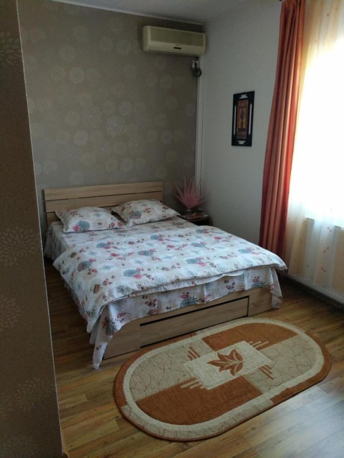 Pensiunea Vladut Тимишоара Экстерьер фото